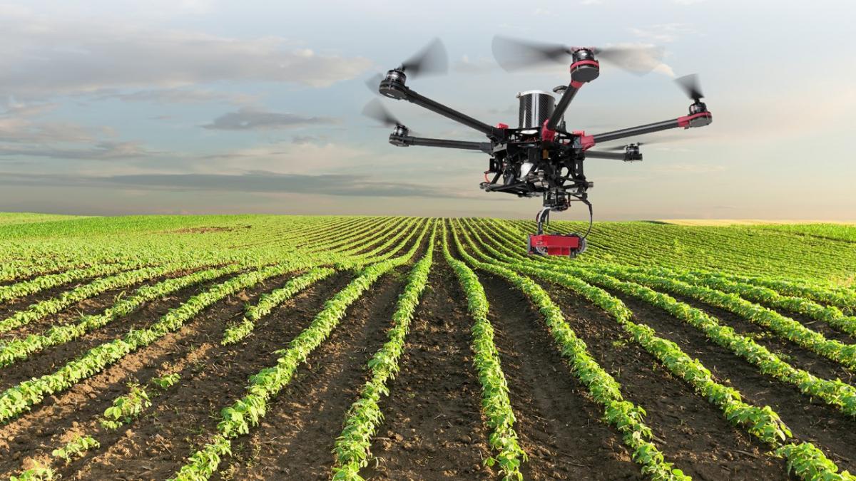 Tecnología al servicio de la biodiversidad: Innovaciones para proteger el planeta.