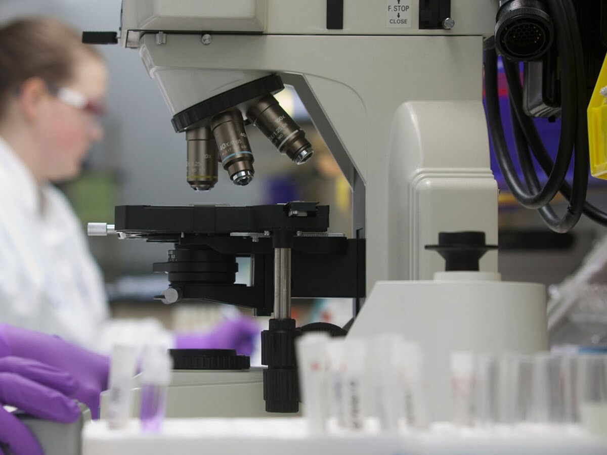 Un ambicioso proyecto busca crear ADN humano desde cero: avances, promesas y preocupaciones