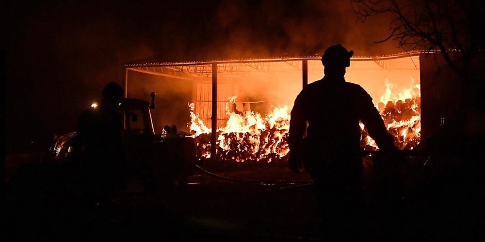 Más de 300 bomberos combaten un incendio forestal en el sur de Grecia en medio de una intensa ola de calor